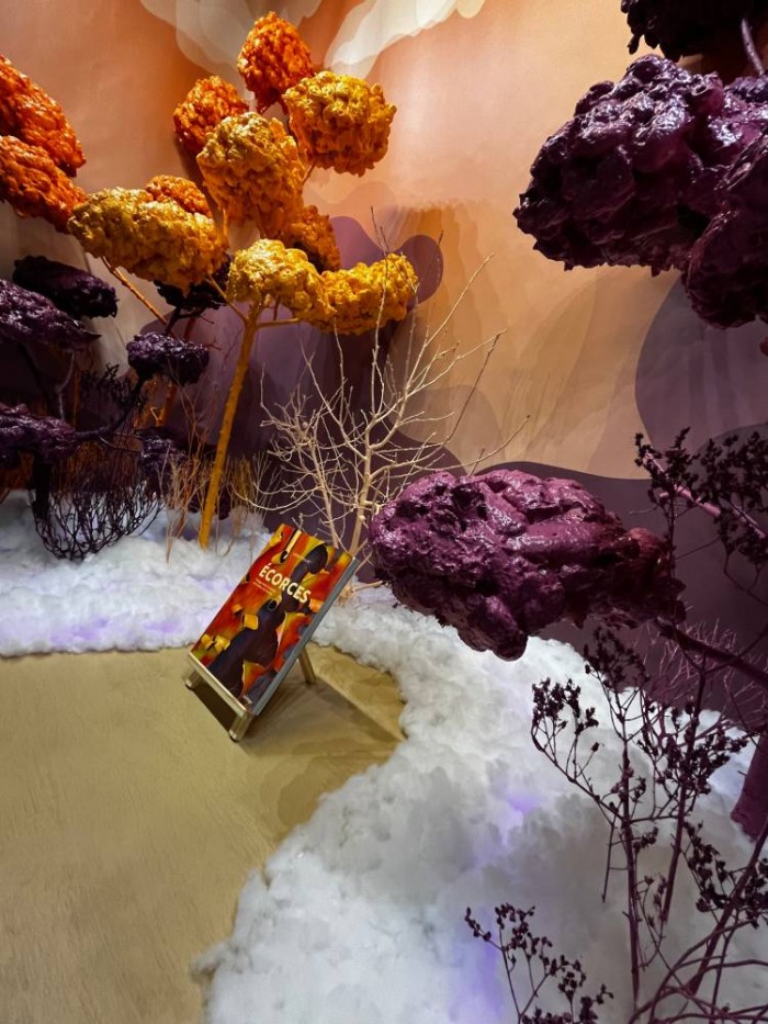 Arbre & Co obtient la médaille d’Argent au concours de Scénographie Végétale 2024 !
