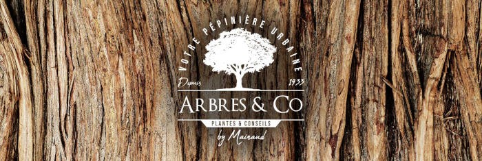 Arbres&Co signe ses deux premiers magasins sous licence de marque
