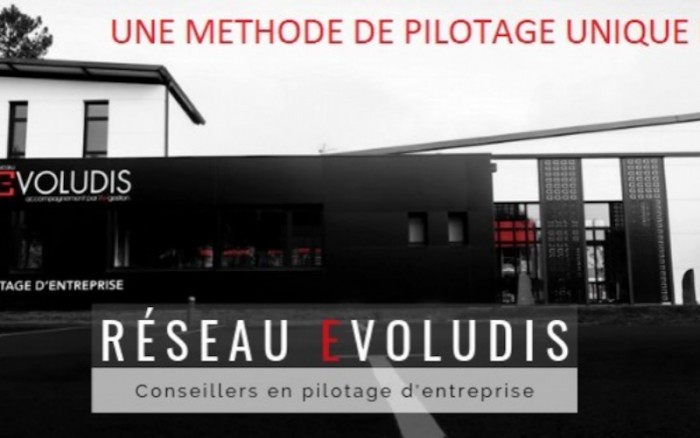 Devenez un acteur clé du conseil en gestion d'entreprise avec Evoludis !
