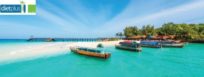 Direction Zanzibar pour les franchisés dietplus qui parraineront de nouveaux entrepreneurs