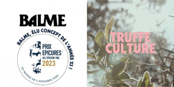Balme : Bilan 2024 et ambitions stratégiques pour 2025