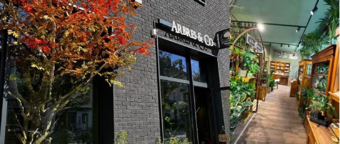 Arbres & Co recherche son futur franchisé pilote à Vannes