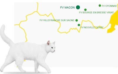 Feu Vert Ouverture D Un Nouveau Centre Auto A Macon