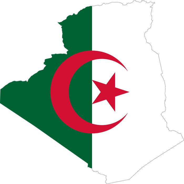 adidas algérie 2019