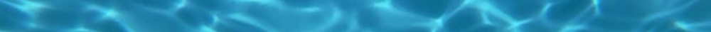 FRANCHISE BIO POOL TECH