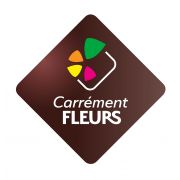 franchise CARREMENT FLEURS