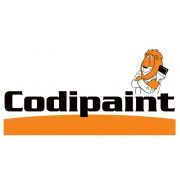 franchise CODIPAINT