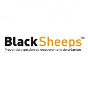 franchise BLACKSHEEPS