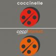 Franchise COCCINELLE COCCIMARKET