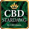 CBD STARDAWG