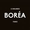 BOREA