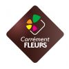 CARREMENT FLEURS