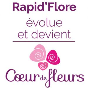 Franchise Rapid'flore / coeur de fleurs dans Franchise Fleurs Franchise Rapid'flore / coeur de fleurs dans Franchise Fleurs