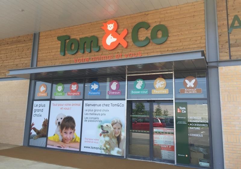 Tom & co à Bergues