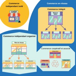 Quels sont les différents types de commerces organisés