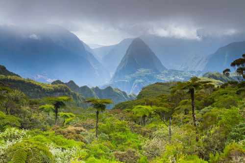 Quelles franchises pour se lancer sur l'Ile de la Réunion ?