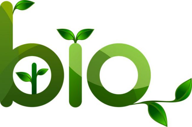 Commerce alimentaire : le bio, un vrai levier de croissance