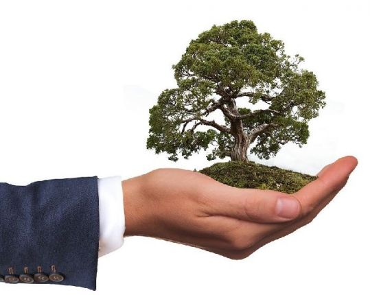 Ces franchises qui misent sur le développement durable