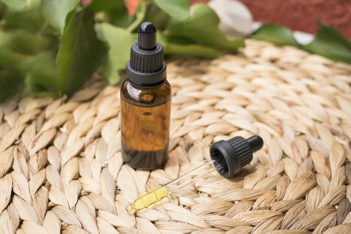 Ouvrir une franchise CBD : surfer sur le marché du cannabis légal
