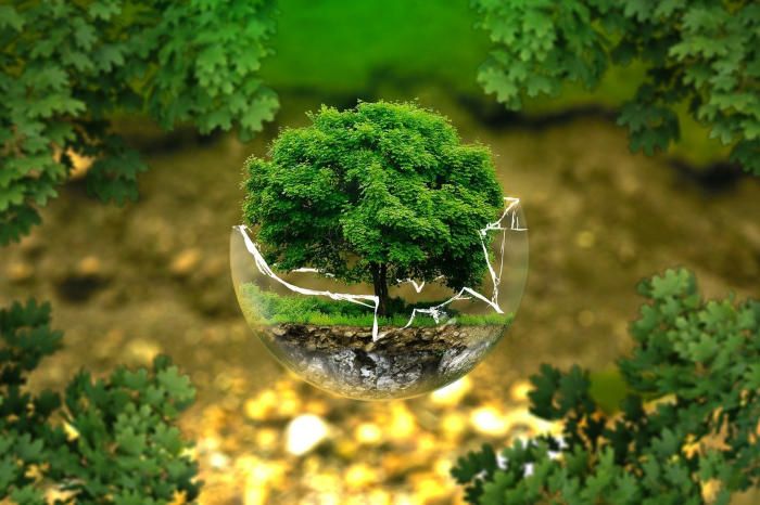 Métiers de l’environnement sans diplôme : quels choix possibles ?