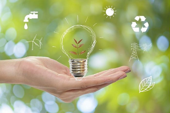 Quelles formations pour accéder aux métiers de la nature et de l'environnement ?