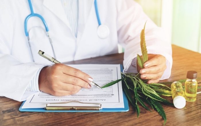Premiers pas pour le cannabis médical en France