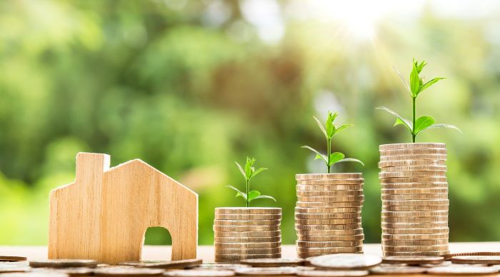 Entrepreneurs : comment faire fructifier votre trésorerie avec la SCPI ?