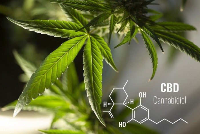 CBD : la vente de fleurs et feuilles de chanvre de nouveau autorisée