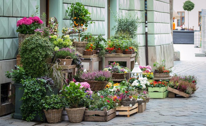 Marché des fleurs : toujours aussi florissant ?