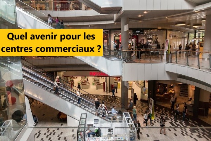 Avenir des centres commerciaux : quand le shopping devient une expérience globale