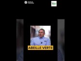 Abeille Verte : une franchise humaine pour entreprendre sans expérience du métier