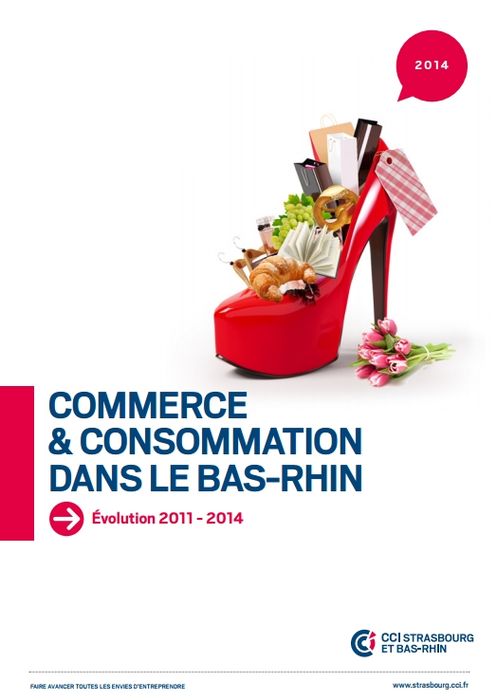 Etude "Commerce et Consommation dans le Bas-Rhin"